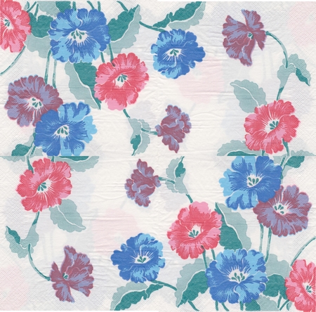 1 (19)