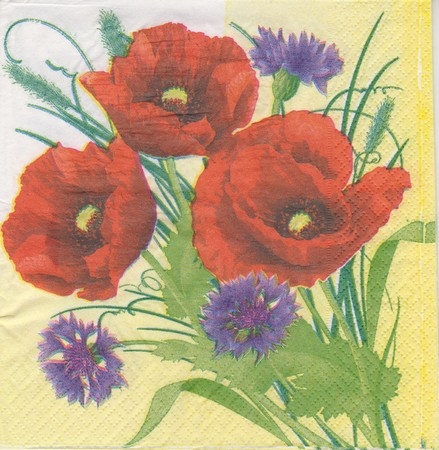1 (96)
