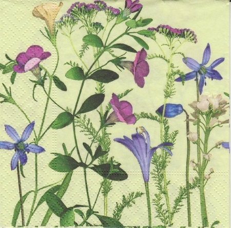 1 (102)