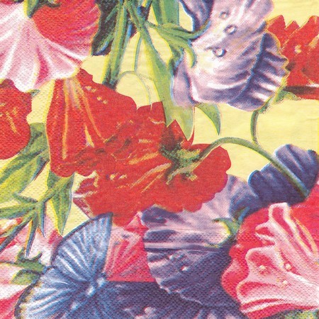 1 (231)